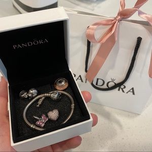 Original Pandora Charm Bracelet
